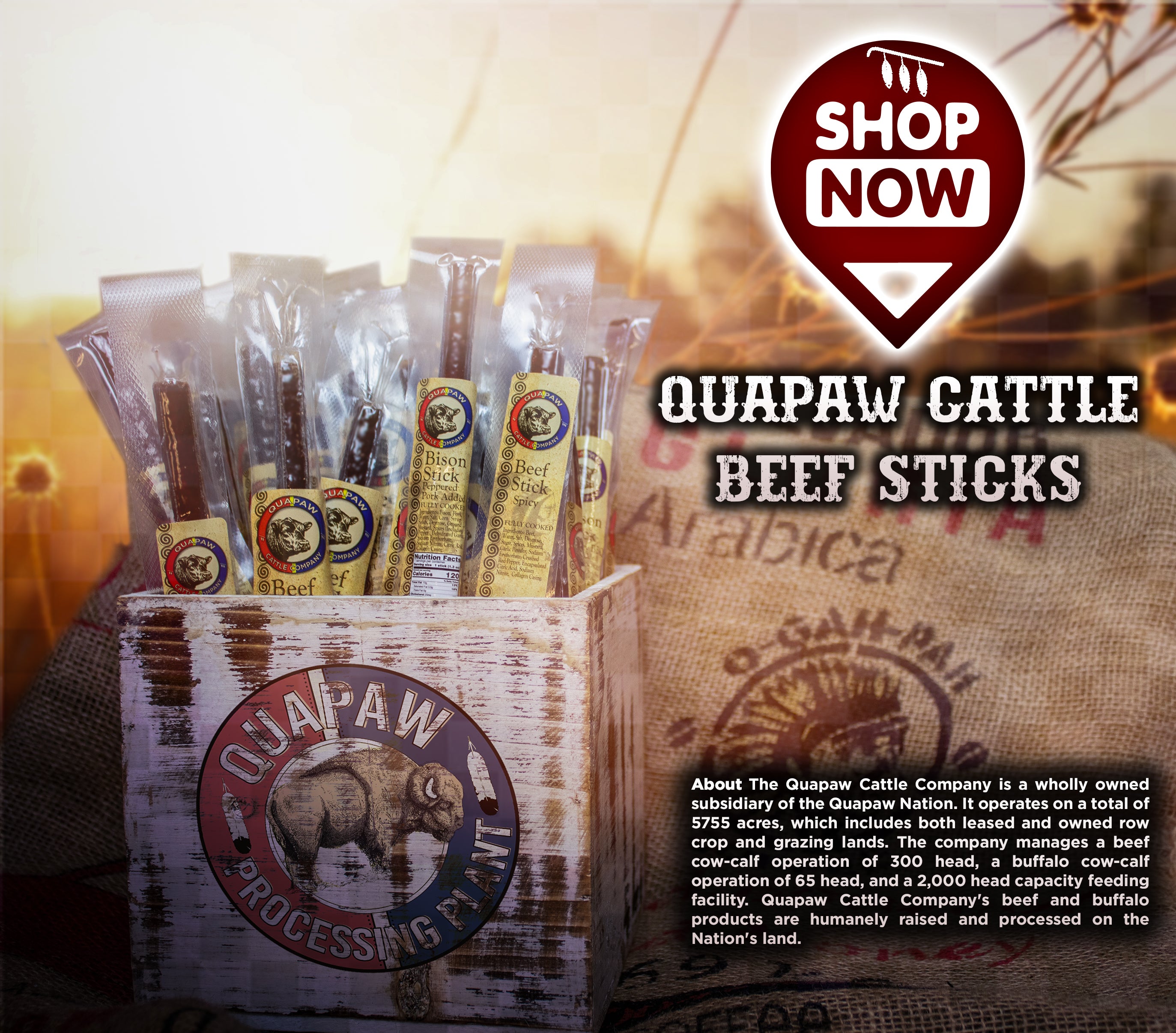 QCC Bison Peppered snack stick